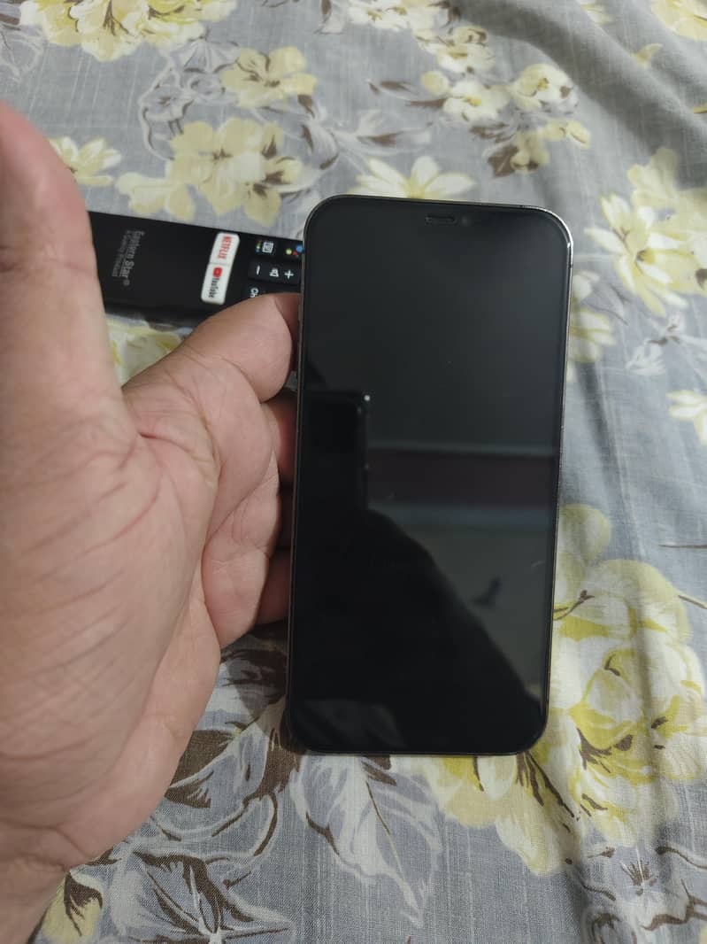 Apple iPhone 12 Pro Max 6