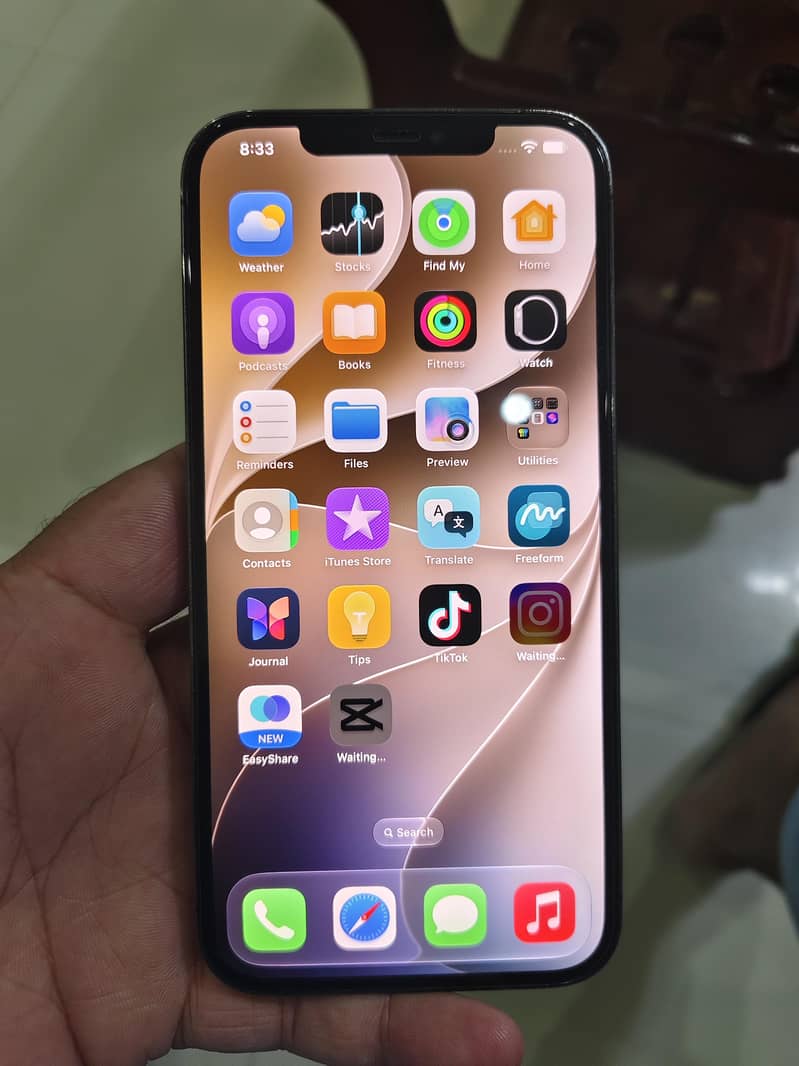 Apple iPhone 12 Pro Max 8
