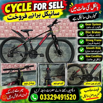 Giant cycle