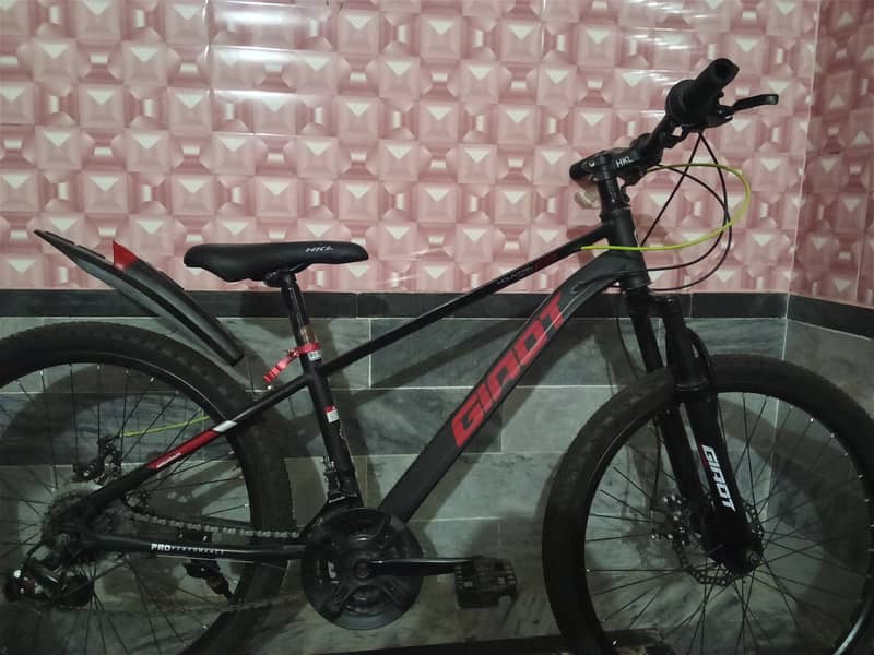 Giant cycle 1