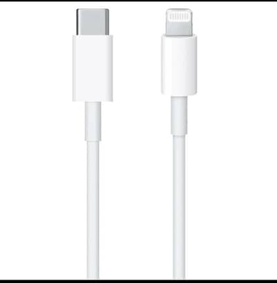 USB-C to Lightning ( Apple charging cable)