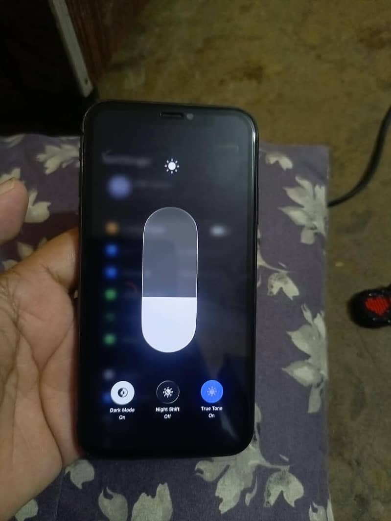 Apple iPhone 11 0