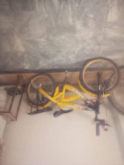 yellow bicycle for sale