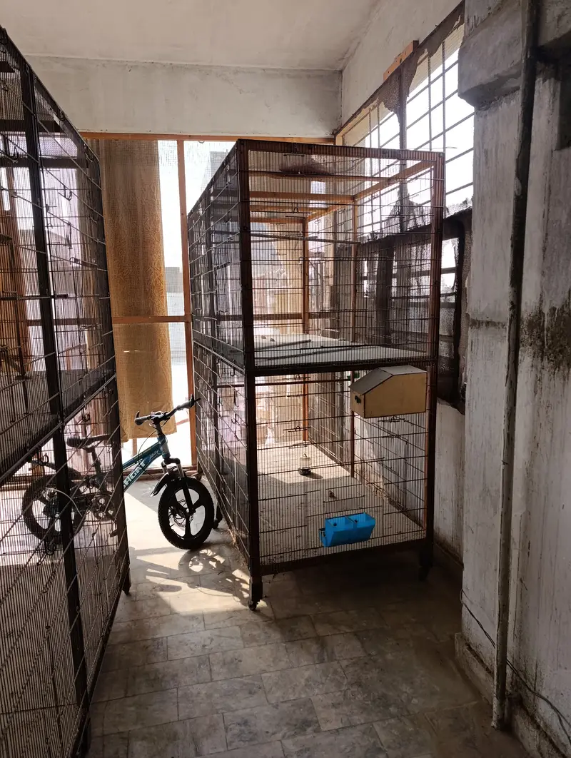 Selling Colony Cages — photo 2