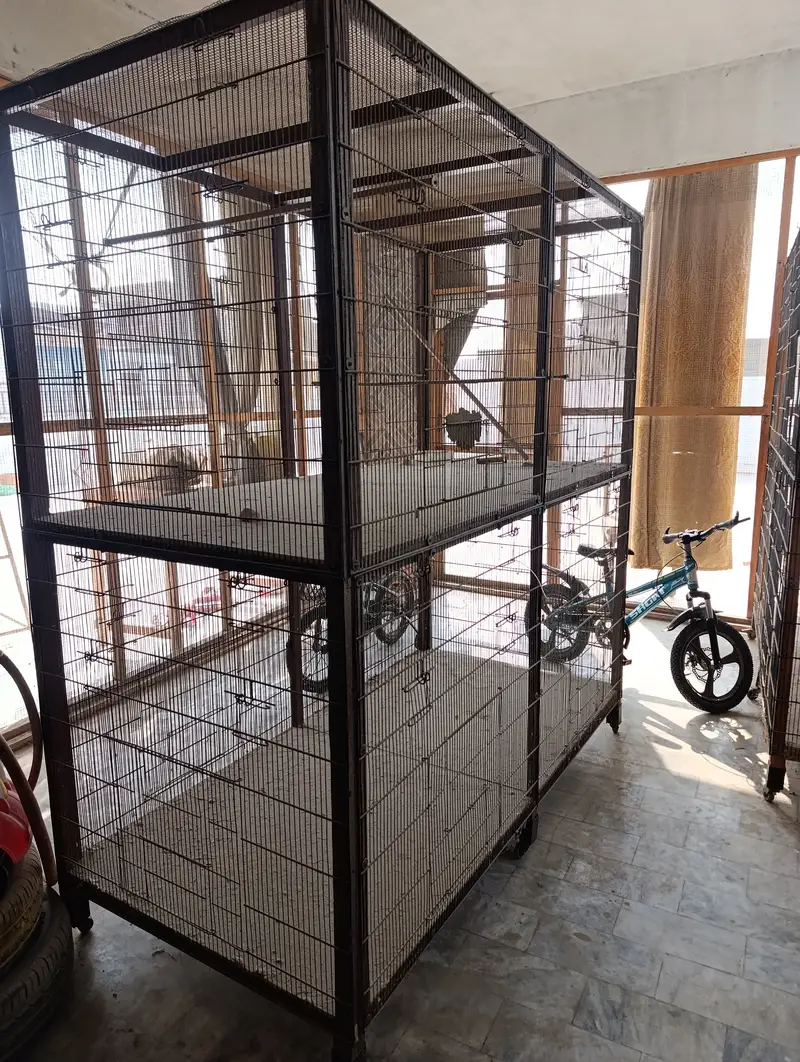 Selling Colony Cages — photo 3