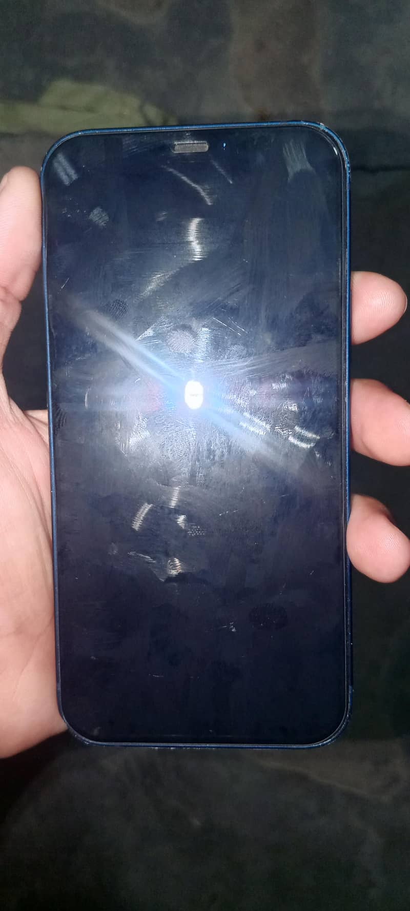 Apple iPhone 12 1