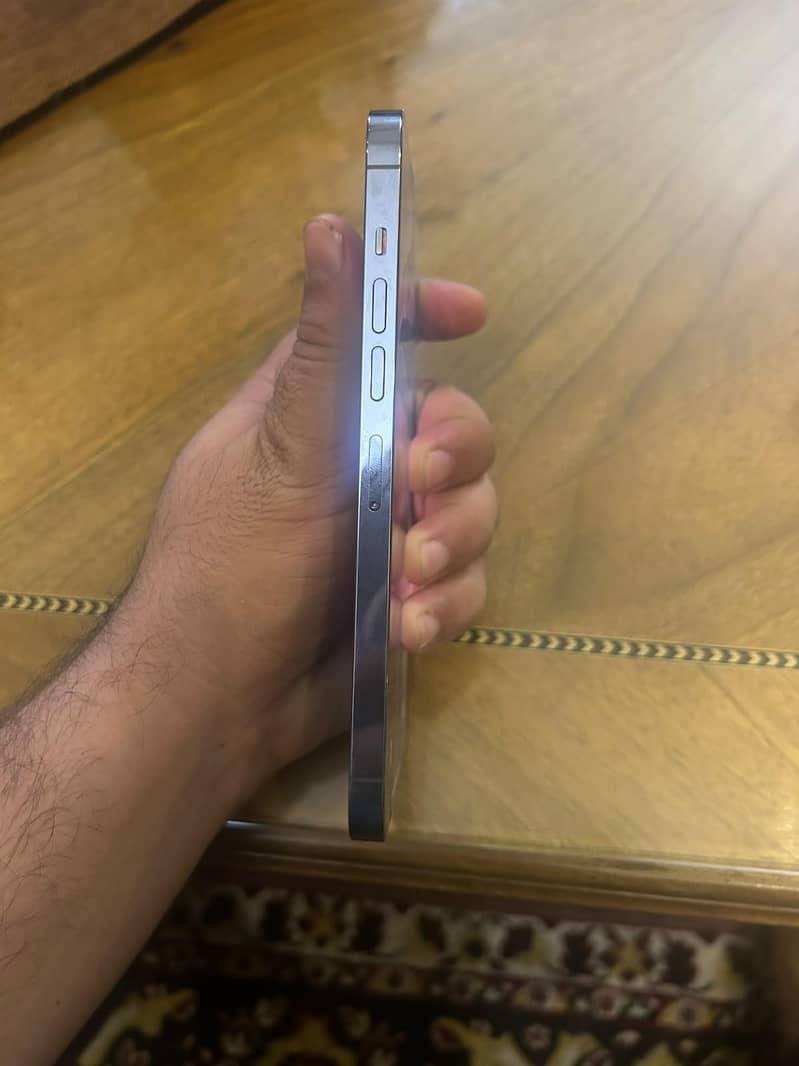 Apple iPhone 13 Pro Max 1