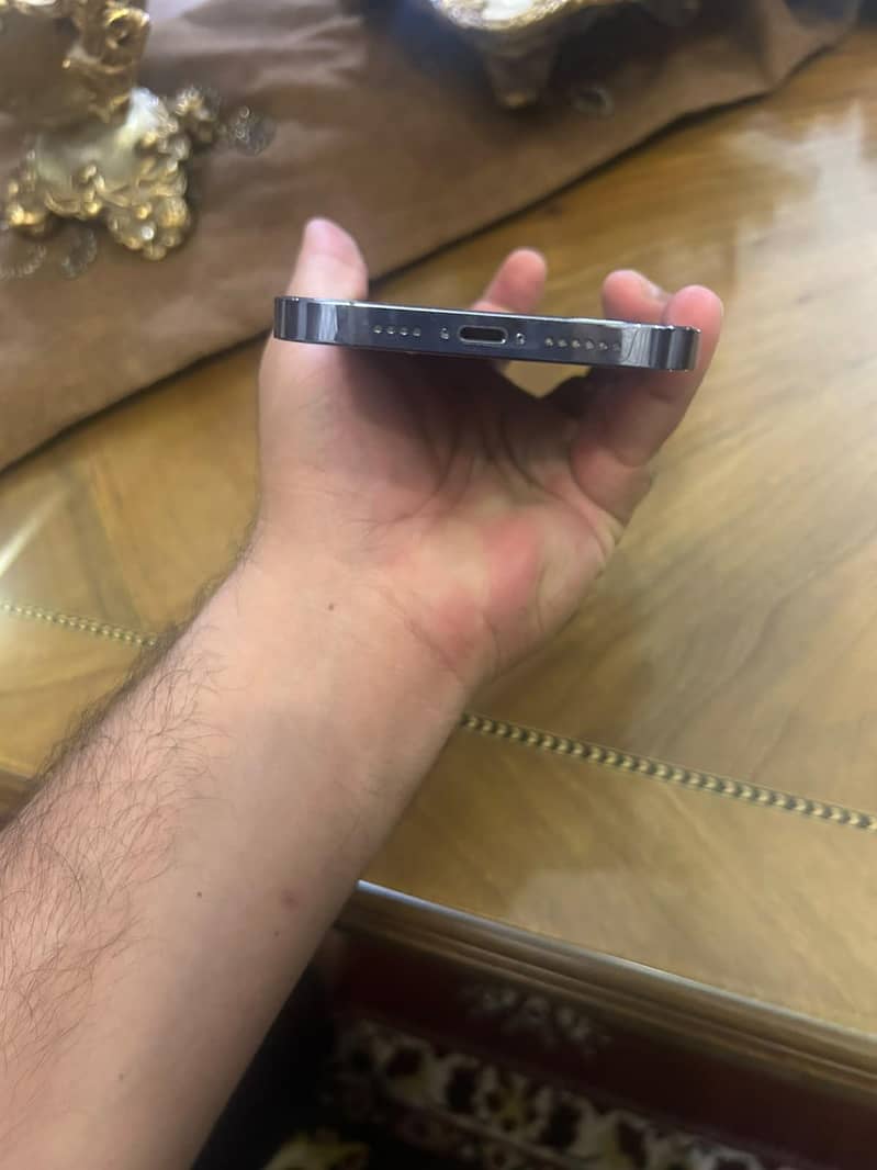 Apple iPhone 13 Pro Max 4