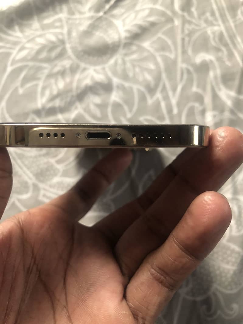 Apple iPhone 12 Pro Max 0