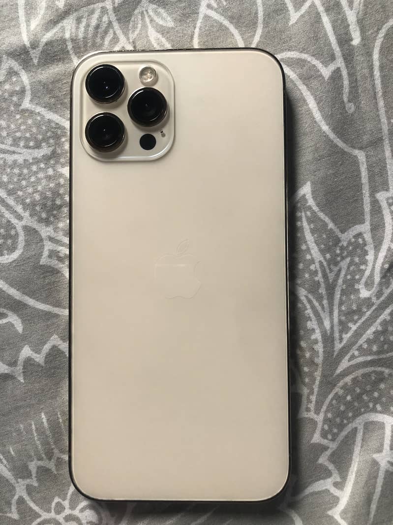 Apple iPhone 12 Pro Max 1