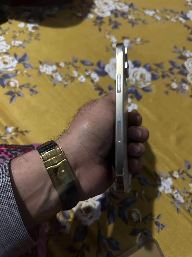 Apple iPhone 13 Pro Max 1