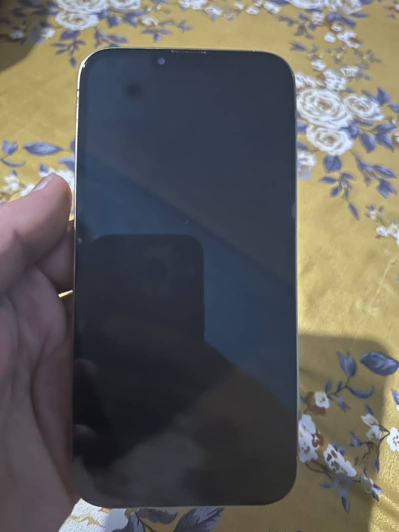 Apple iPhone 13 Pro Max 3