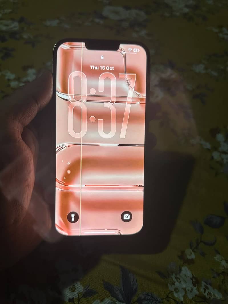 Apple iPhone 13 Pro Max 4