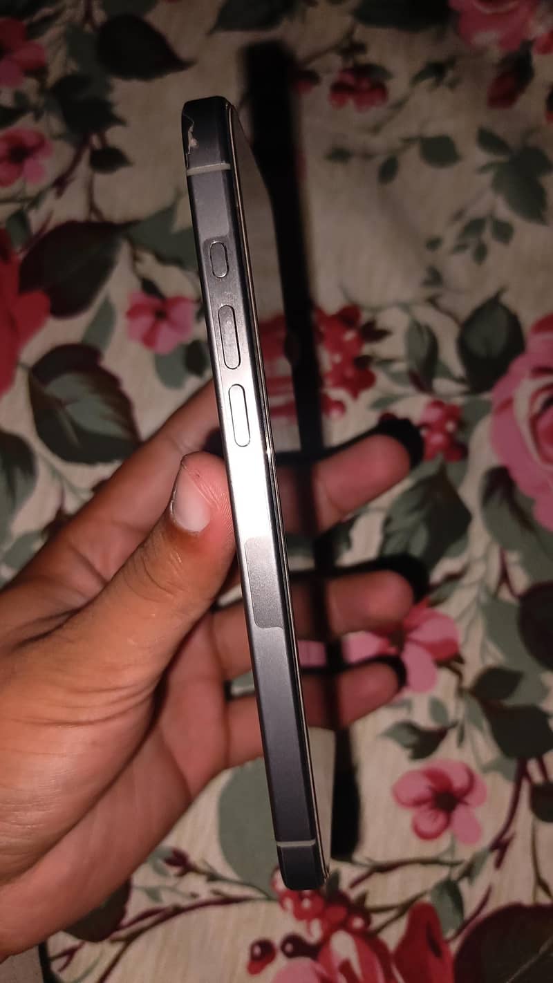 Apple iPhone 15 Pro Max 2
