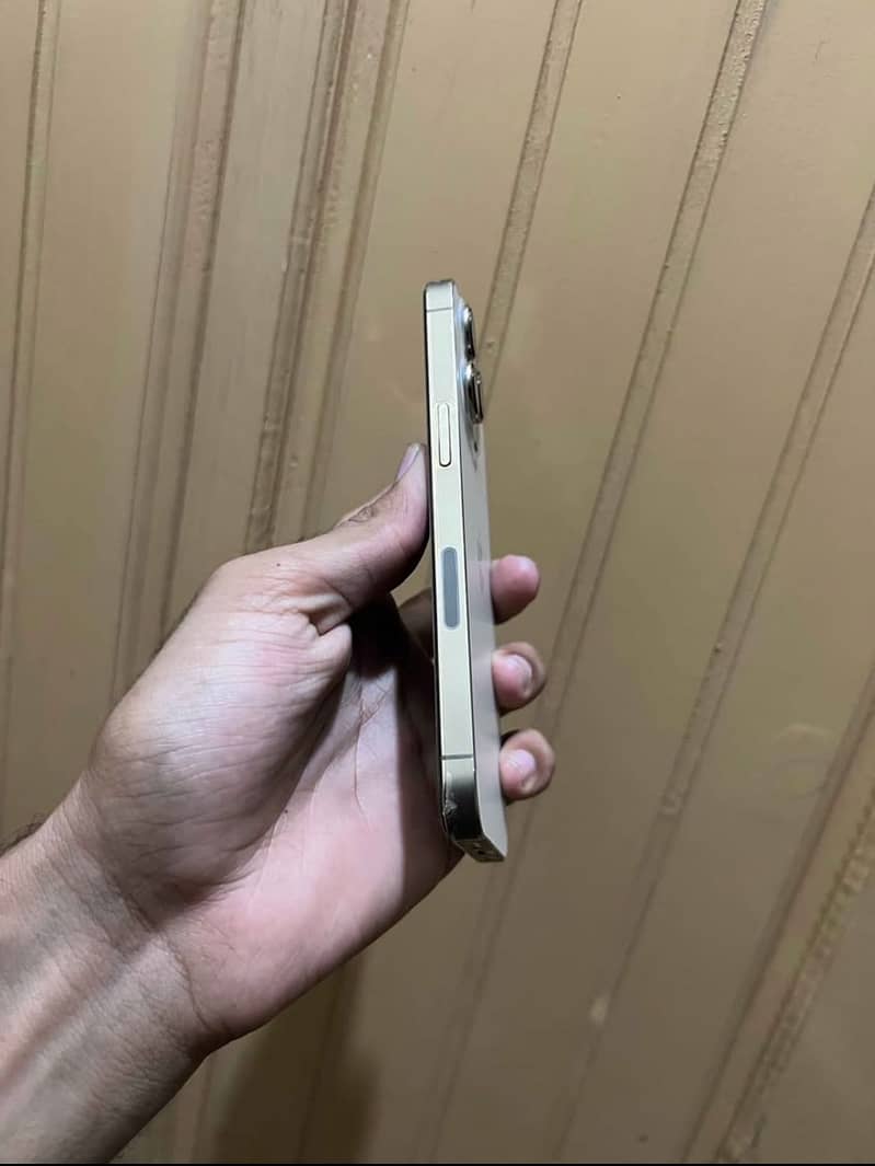 Apple iPhone 13 Pro 3