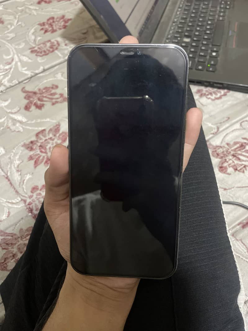 Apple iPhone 12 Pro Max 1