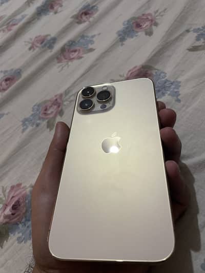 Apple iPhone 13 Pro Max bypass
