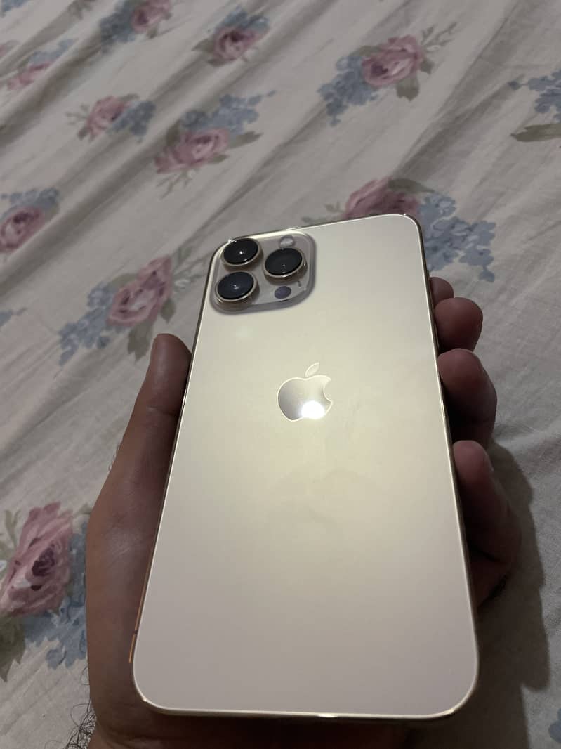Apple iPhone 13 Pro Max bypass 0