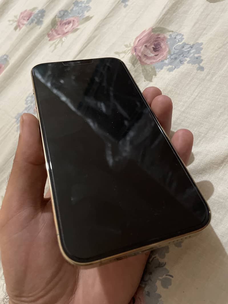 Apple iPhone 13 Pro Max bypass 1