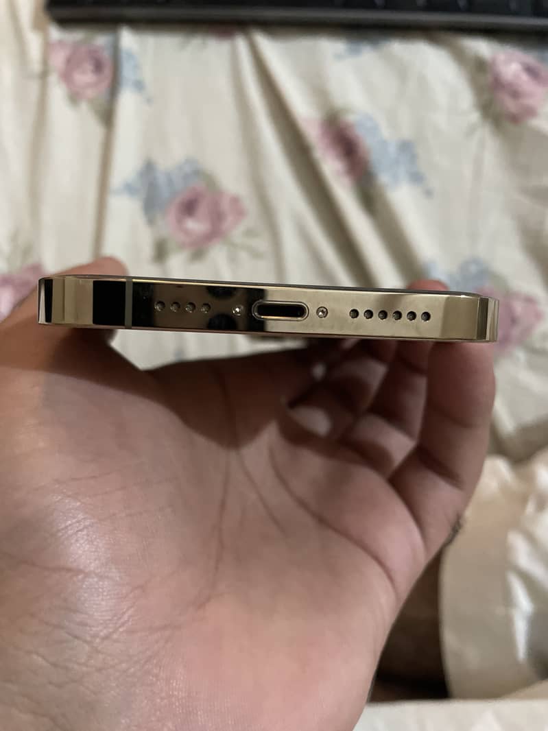 Apple iPhone 13 Pro Max bypass 2