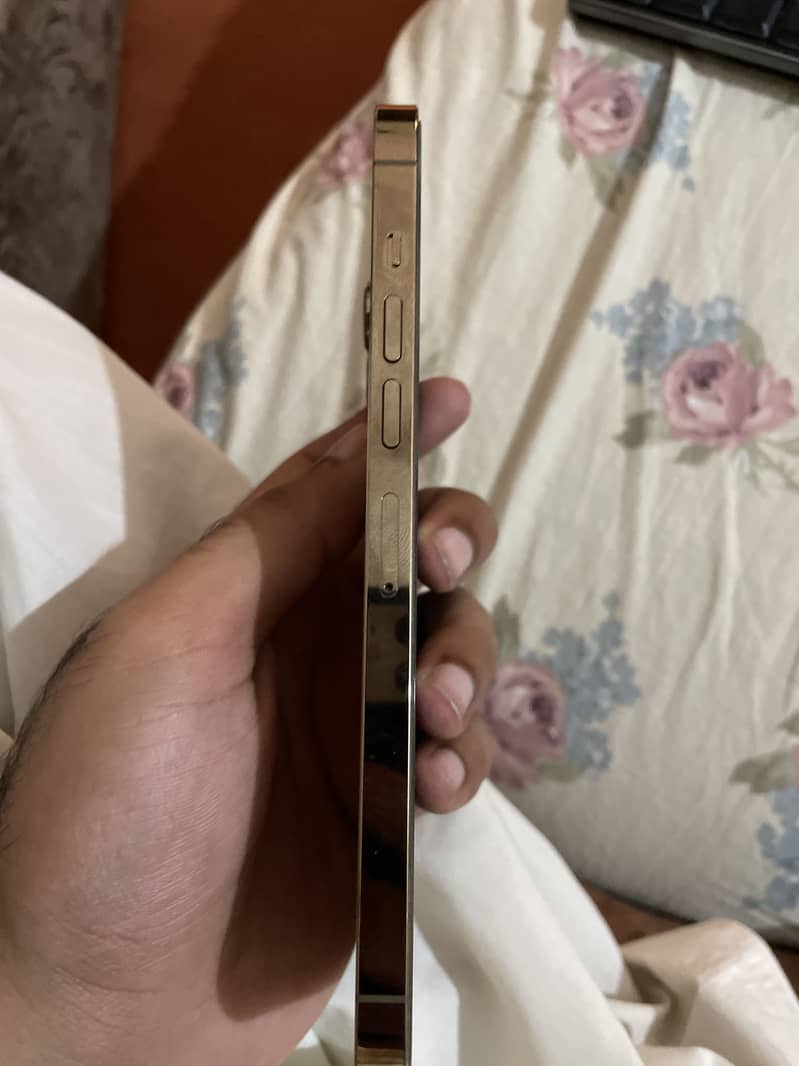 Apple iPhone 13 Pro Max bypass 3