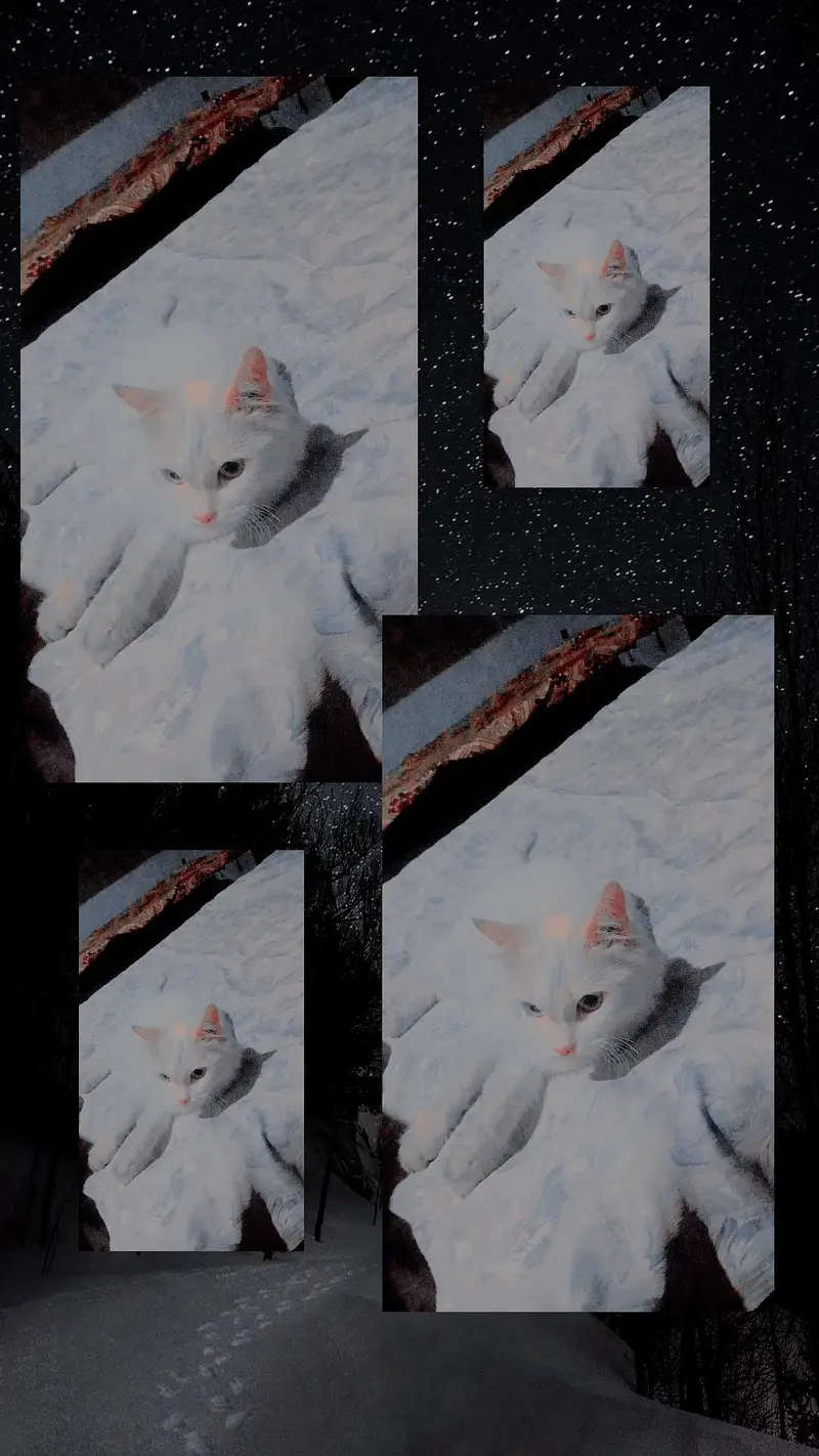i want sale my pet — photo 3