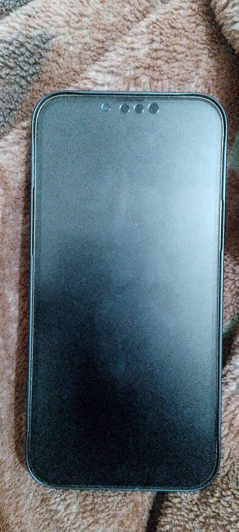 Apple iPhone 13 Pro Max 1
