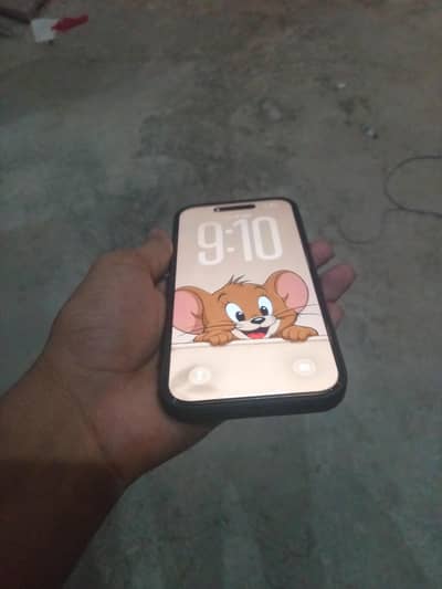 Apple iPhone 16 Pro Max
