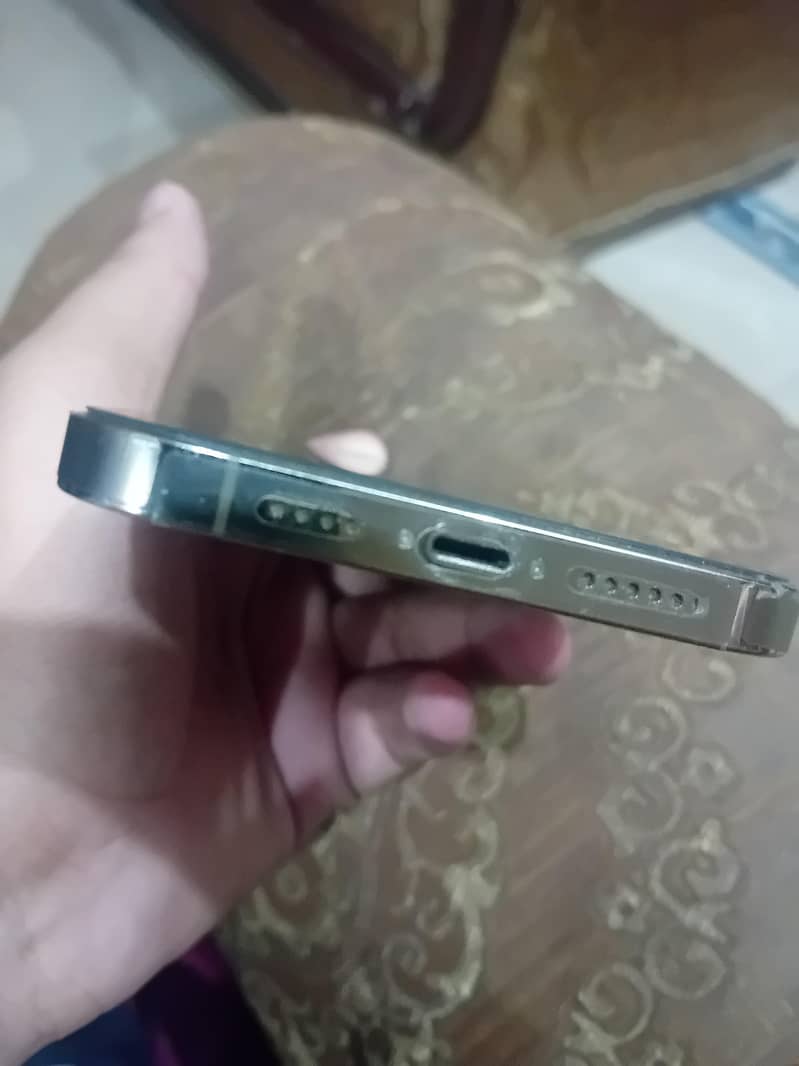 Apple iPhone 13 Pro Max 1