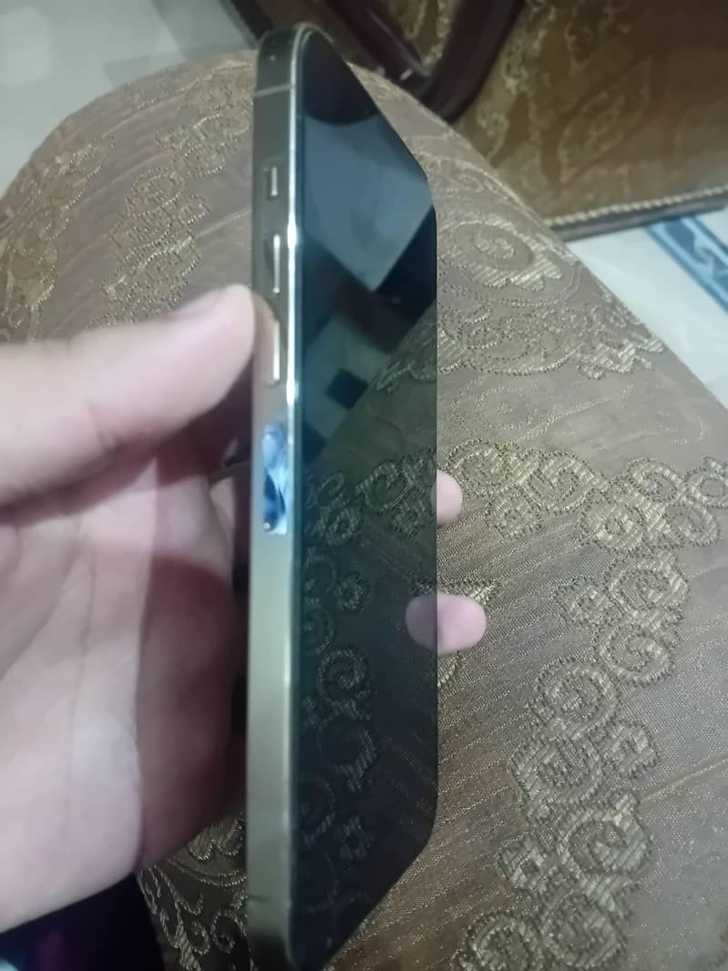 Apple iPhone 13 Pro Max 2