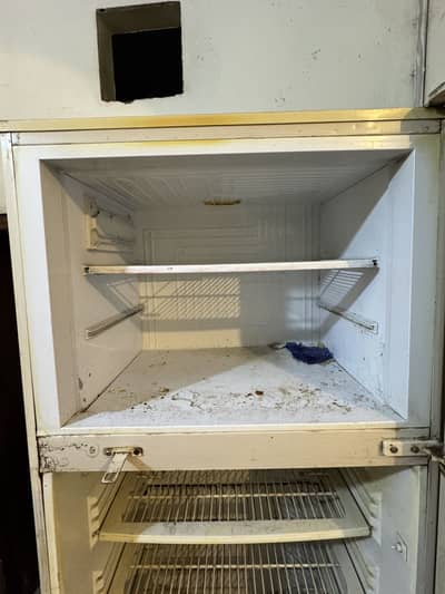 Pel refrigerator full size