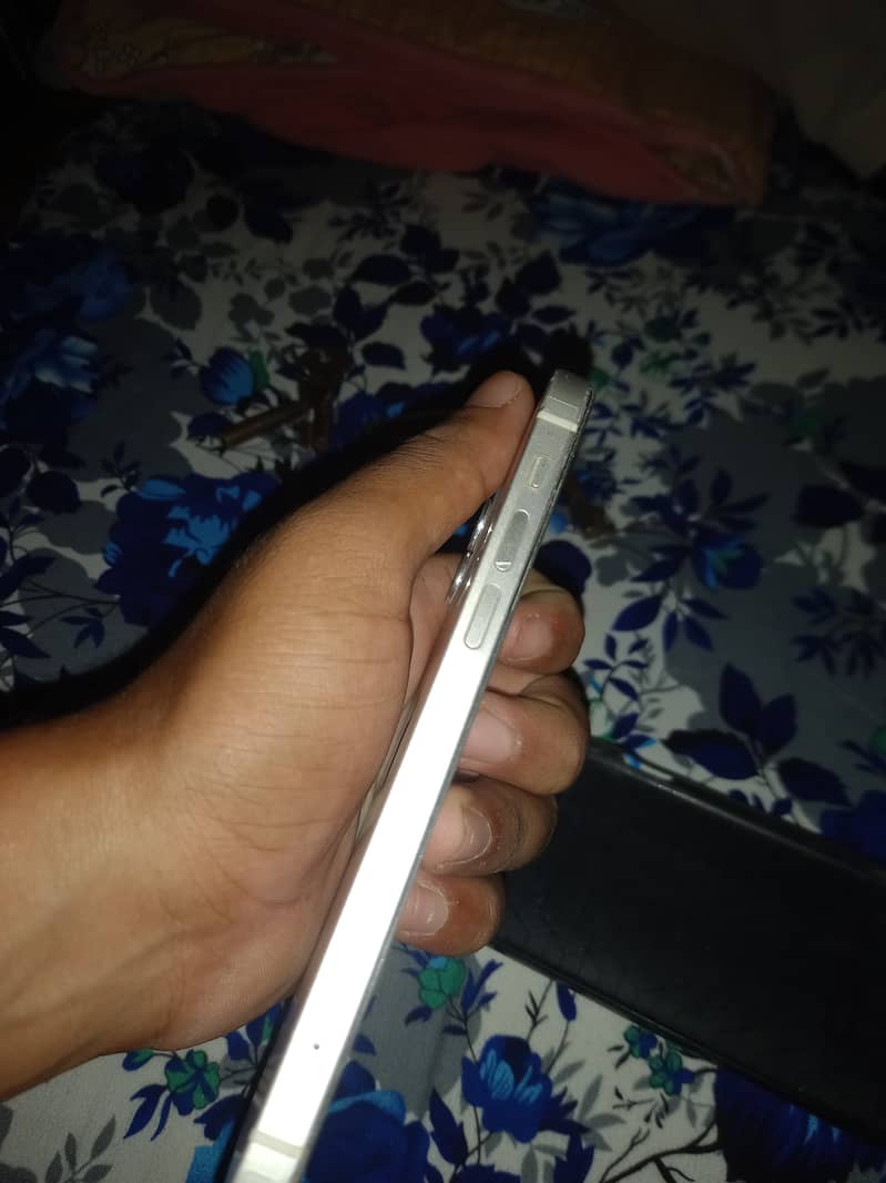 Apple iPhone 12 1
