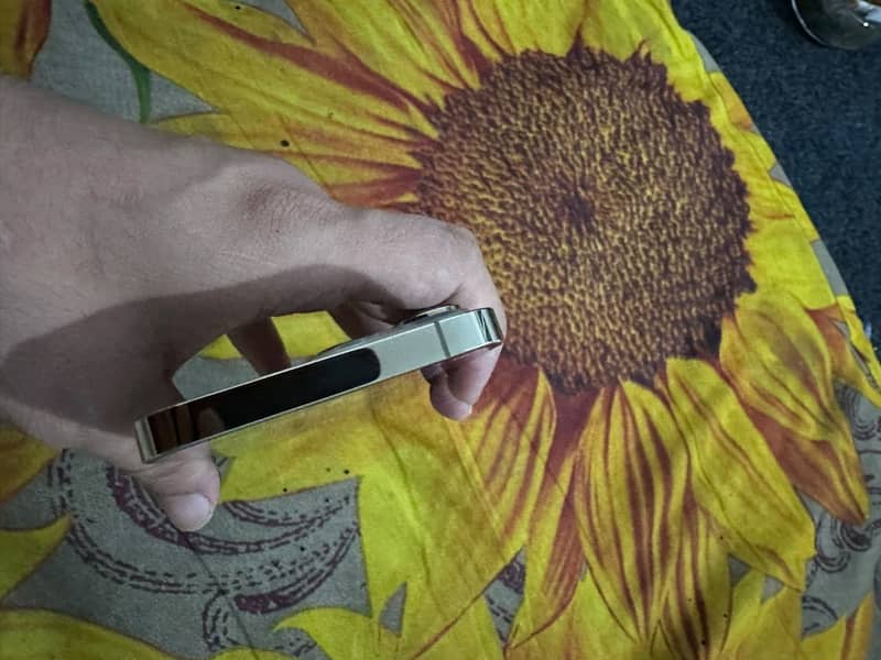 Apple iPhone 13 Pro 7