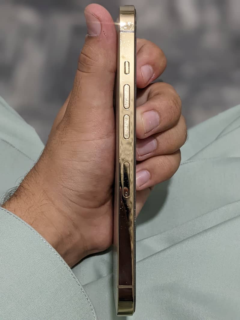 Apple iPhone 13 Pro 1