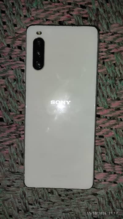 Sony 10 III battery change