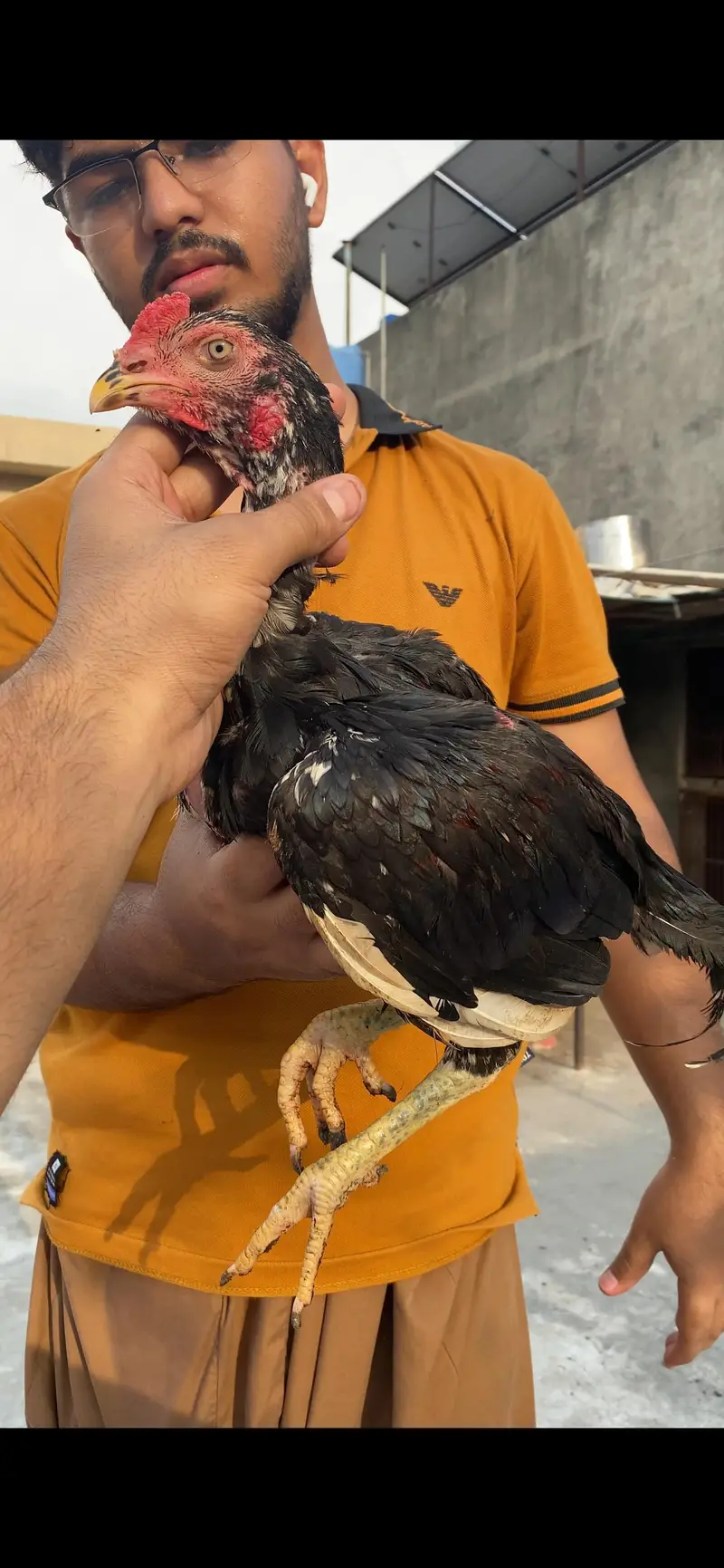 Aseel pathe pathiyan — photo 2