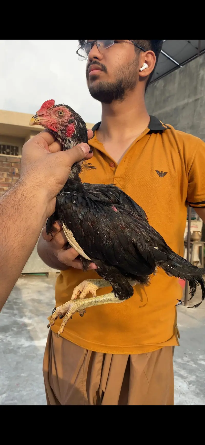 Aseel pathe pathiyan — photo 3
