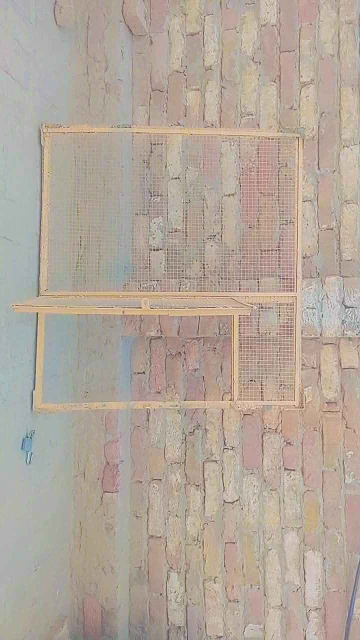 Frame 3