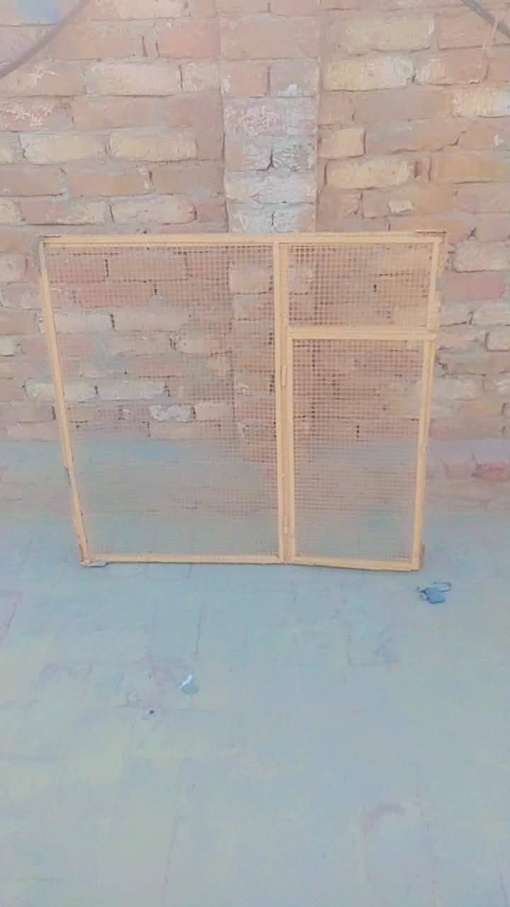 Frame 6