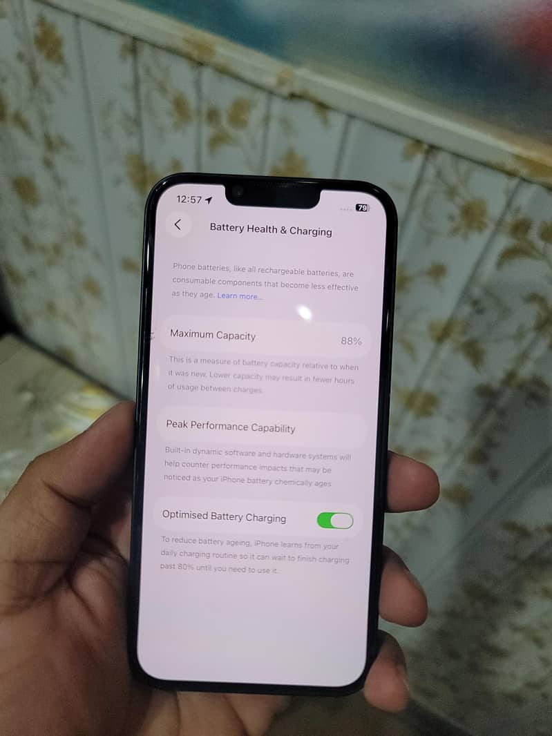 Apple iPhone 13 0