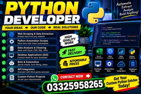 python developer