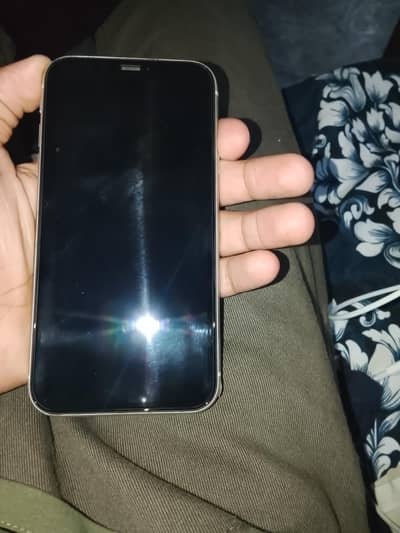 iphone 11 pta