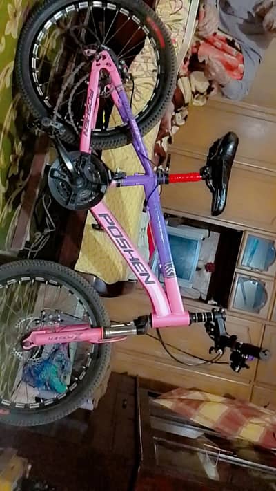 Poshen bicycle