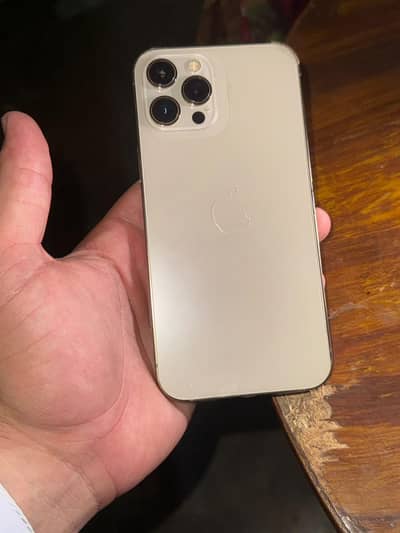 Apple iPhone 12 Pro Max