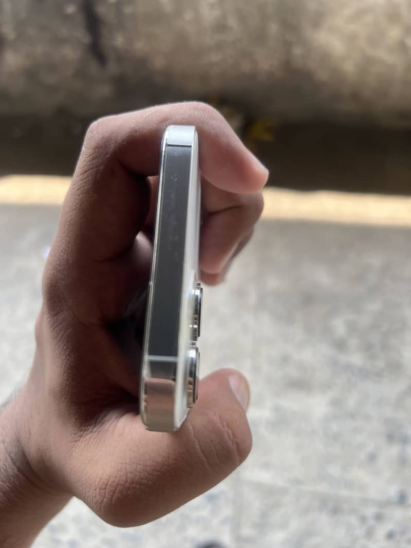 Apple iPhone 13 Pro Max 2