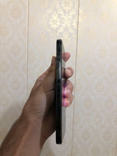 13 pro max