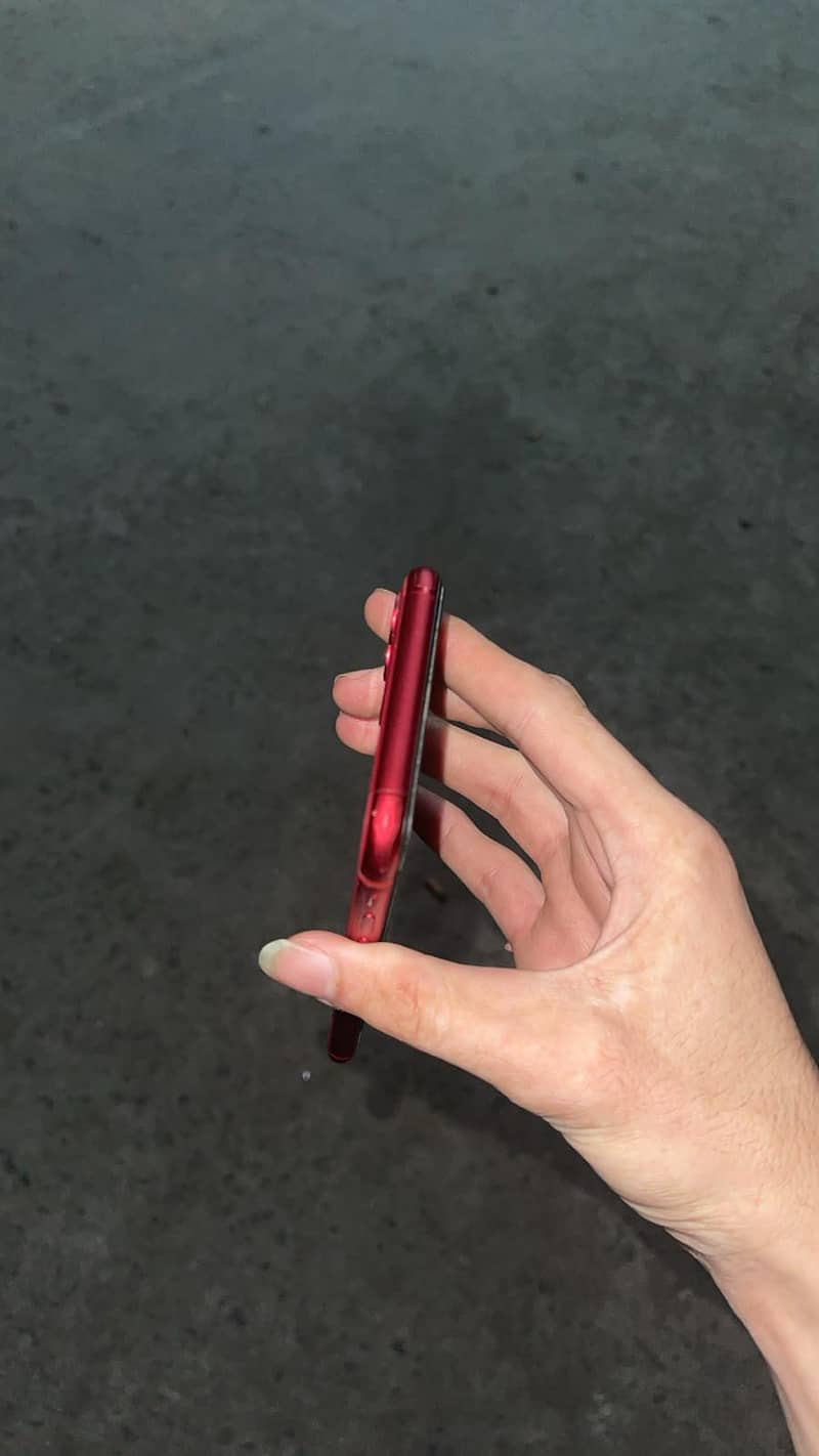 Apple iPhone 11 2