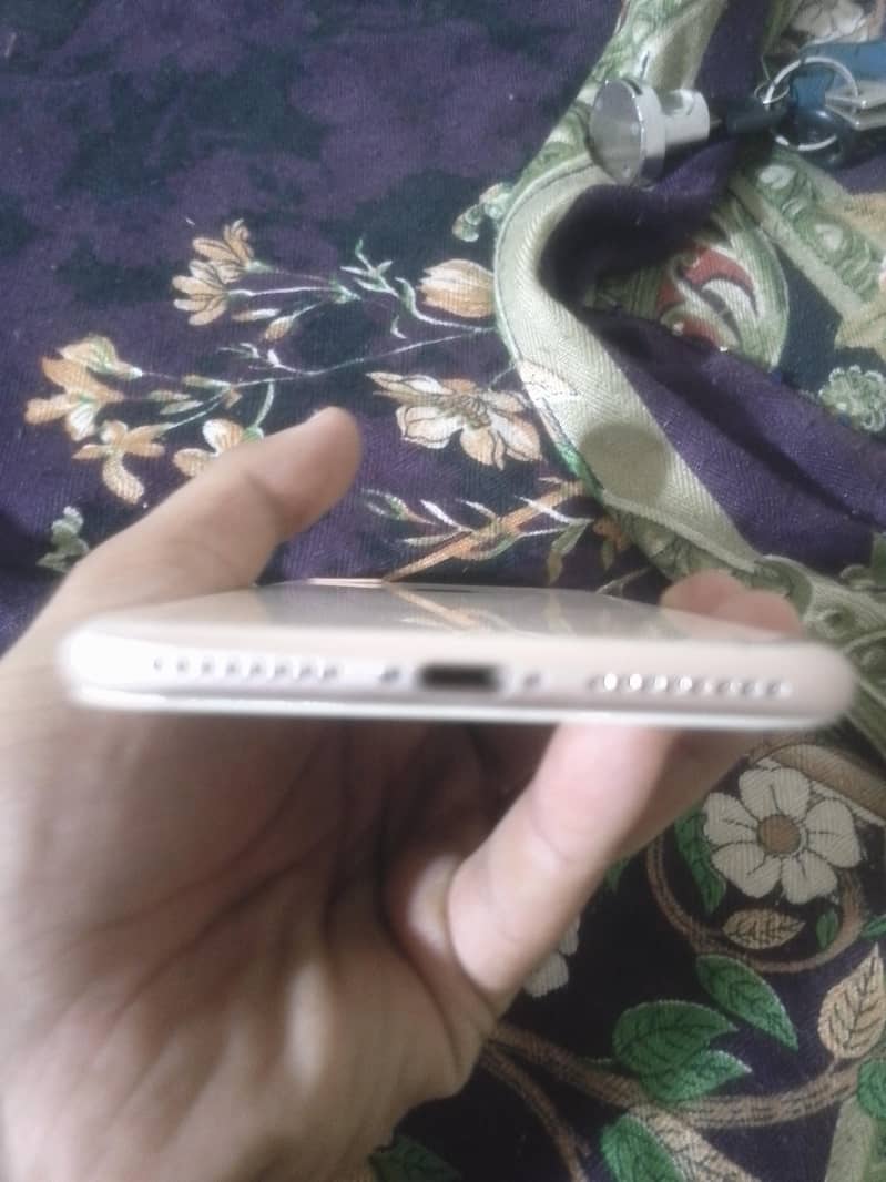 Apple iPhone 8 Plus 3