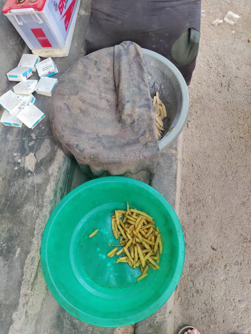 Fries Stall 11