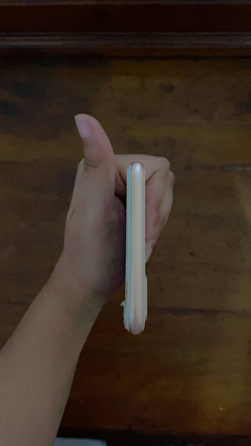 Apple iPhone 8 Plus 3